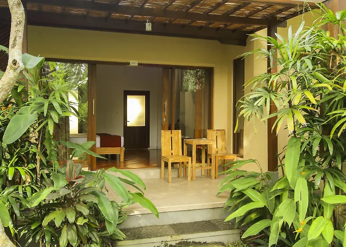 Manggis Sari